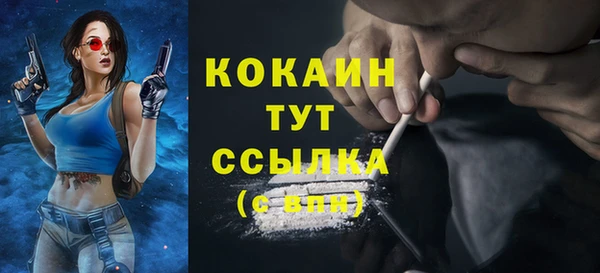 эйфоретик Ветлуга