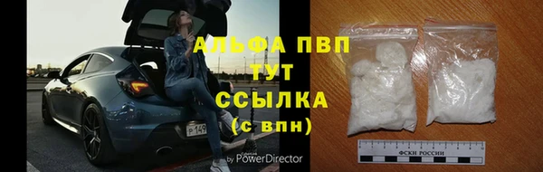 ГАЛЛЮЦИНОГЕННЫЕ ГРИБЫ Медвежьегорск