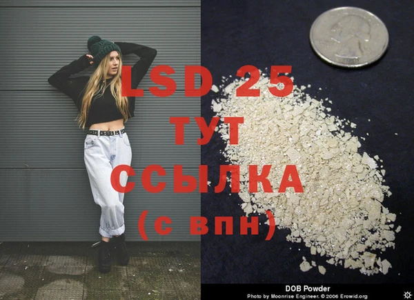 дмт Магас